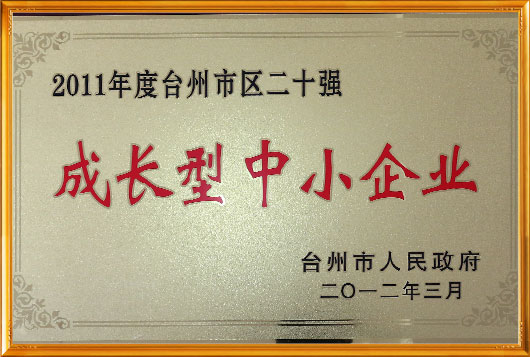 certificado de honor-副本-副本